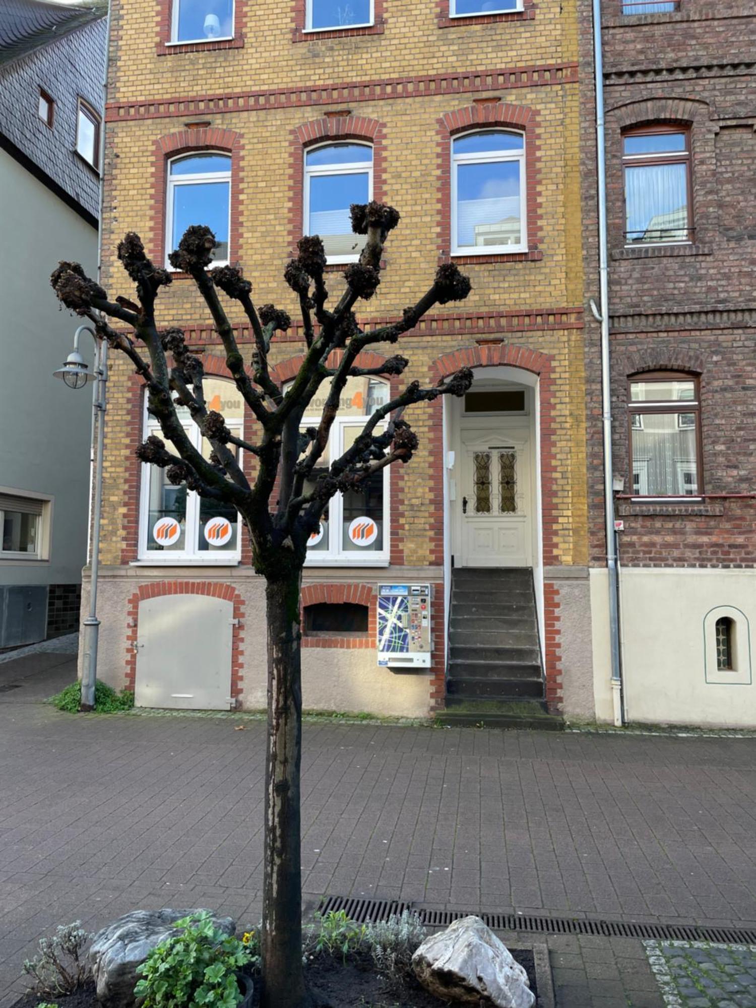 Appartement Good Times In St. Goar à Sankt Goar Extérieur photo
